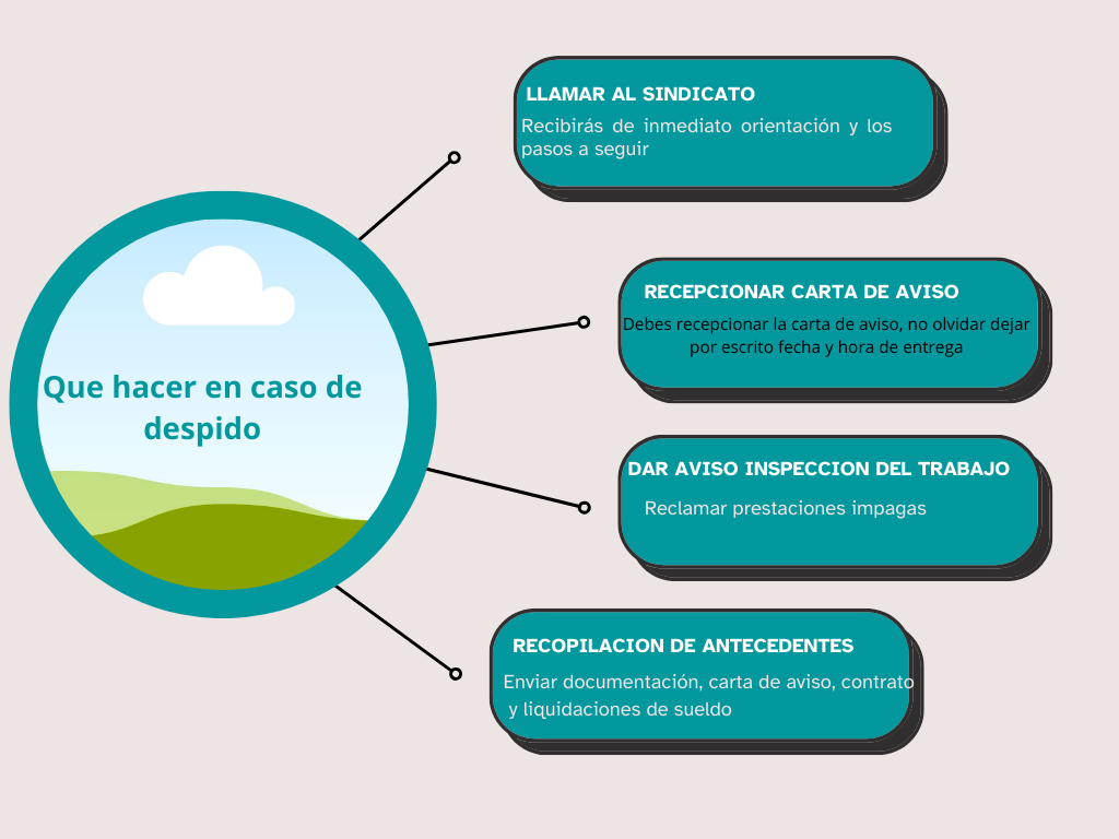 QUE HACER EN CASO DE DESPIDO-1